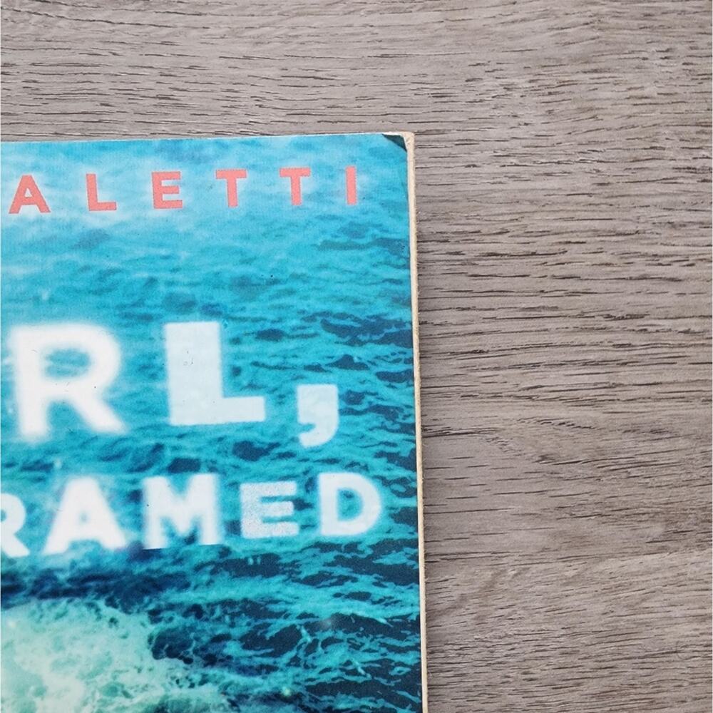 Girl, Unframed by Deb Caletti Young Adult Fiction Mystery Novel Paperback Book - Picture 2 of 11